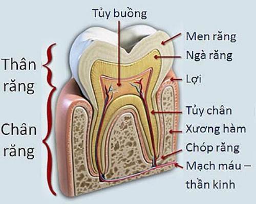 tẩy trắng răng -2