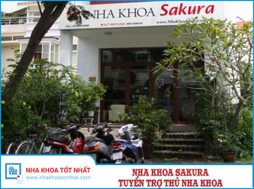 Nha khoa Sakura Tuyển Phụ Tá Nha Khoa