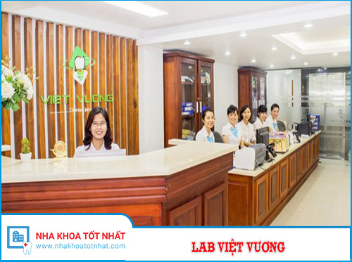 Lab Việt Vương -1