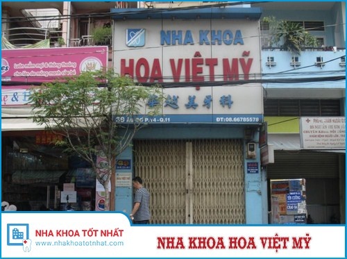 Nha Khoa Hoa Việt Mỹ -1