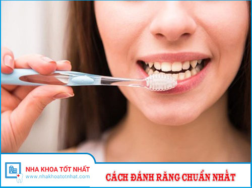 Hướng Dẫn Cách Đánh Răng Chuẩn Nhất Hiện Nay